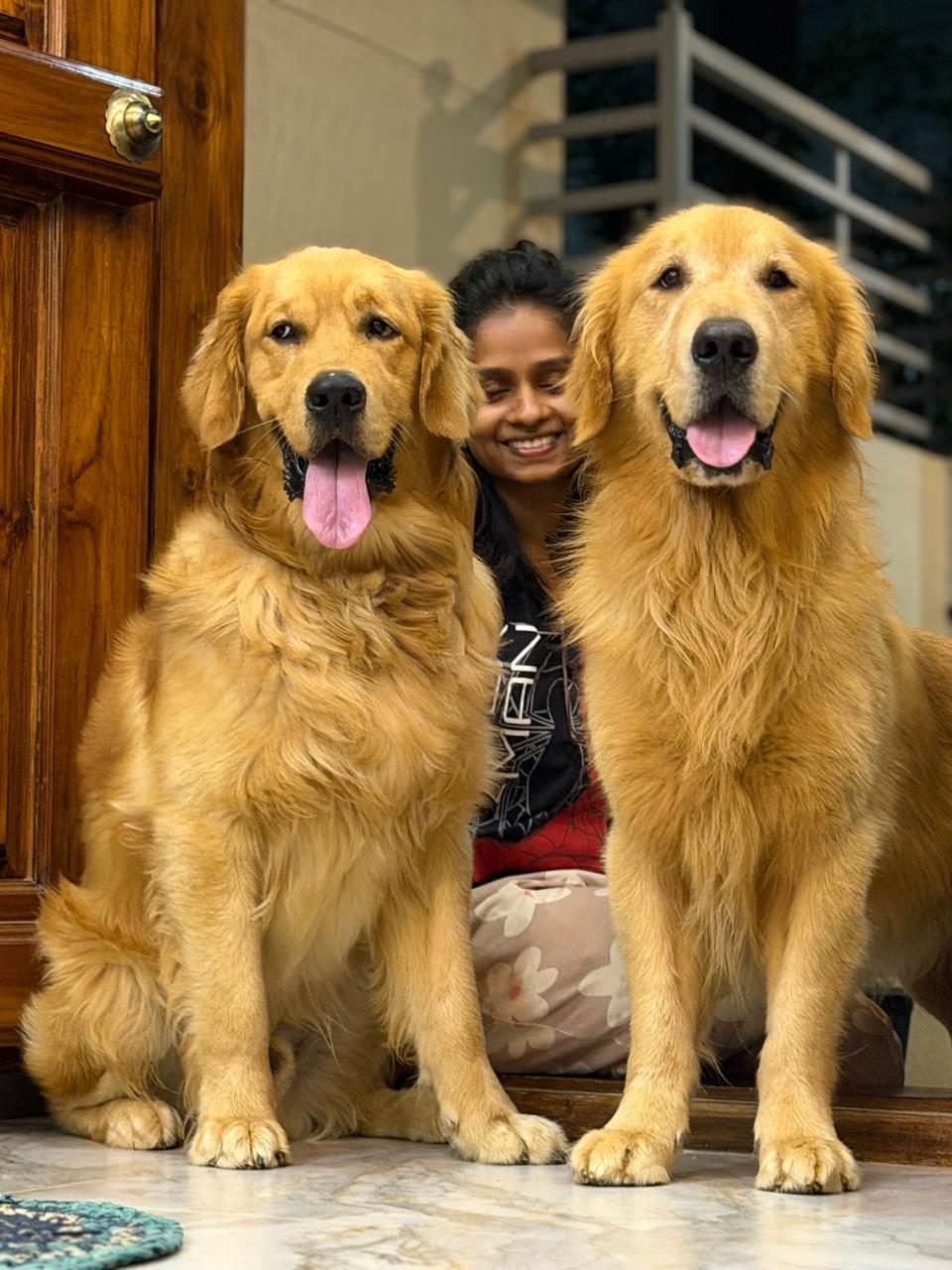 Golden Retriever with a Cimarron Kennel team member